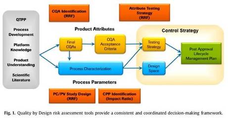 應(yīng)用QbD原理進行單克隆抗體開發(fā)的介紹